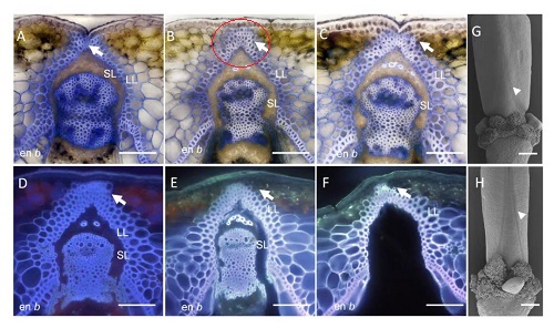点击查看高清原图