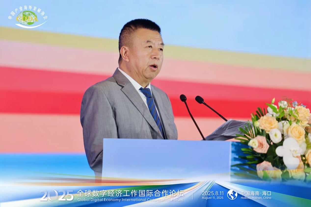 2025全球数字经济国际合作论坛在琼举办
