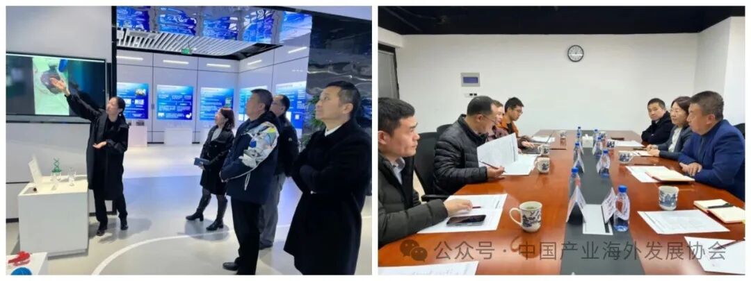 和振伟会长一行在浙江调研