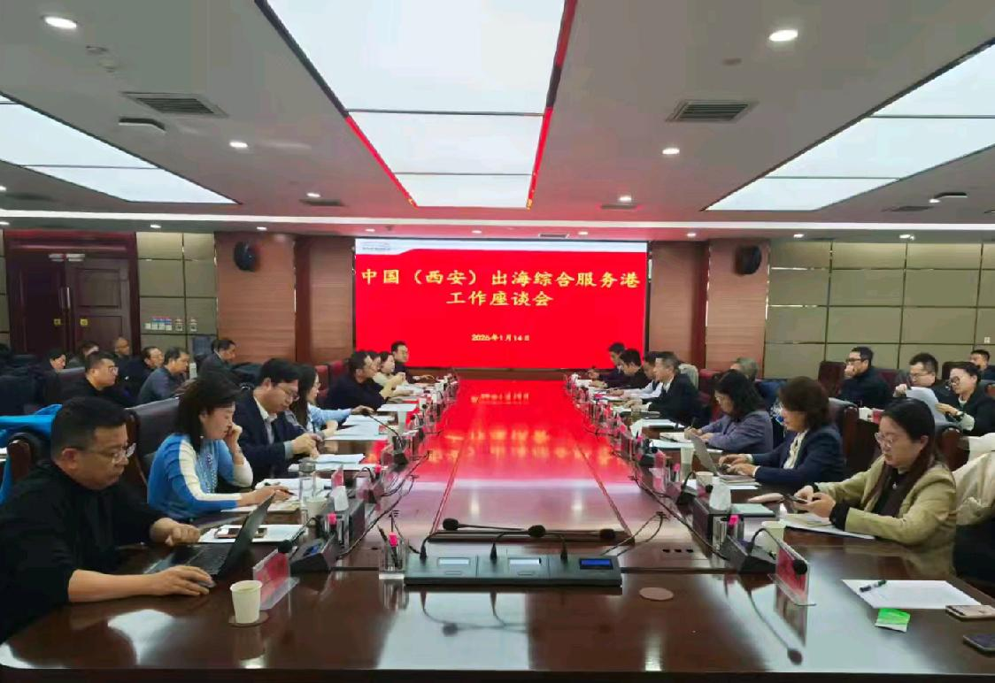 首个“央地联动、内外贯通”出海综合服务港在西安成立 --一站式服务平台助力企业全球化行稳致远